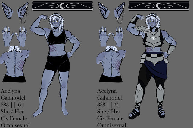 (DND) Character sheet for one my old player's character Acelyna the moon elf