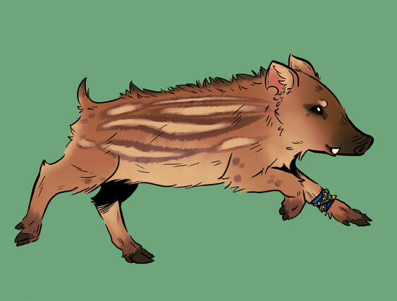 (DND) flatcolor of my OC Bo, the pet baby boar of my other OC Druiik