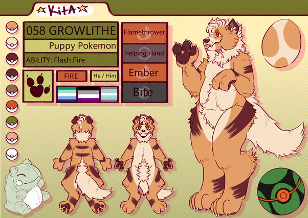 (Fursona) Reference sheet for my fursona Kita